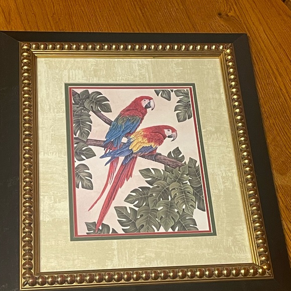 Parrot Artwork - Picture 2 of 8